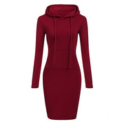 Autumn Winter Women Hoodies Sweatshirts Long-sleeved Dress