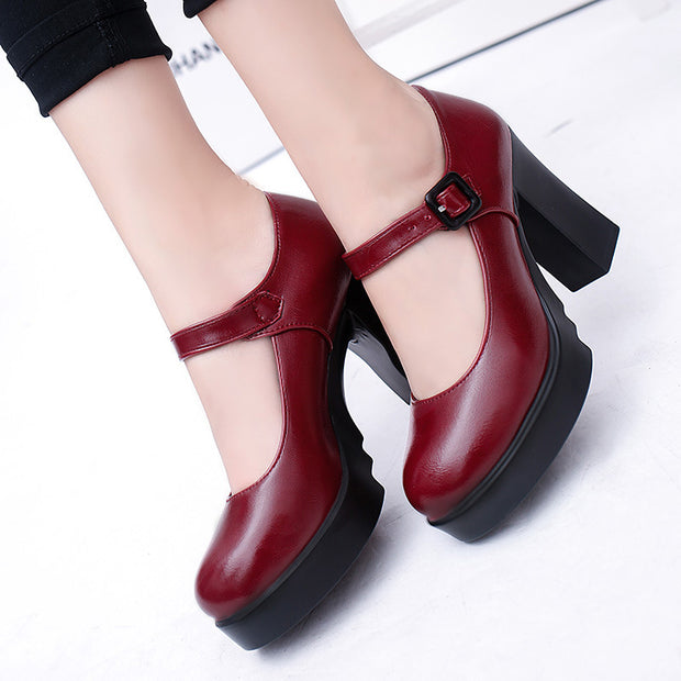 Womens Pumps Shoes Ankle Strap Mary Jane Platform Block High Heels Round Toe