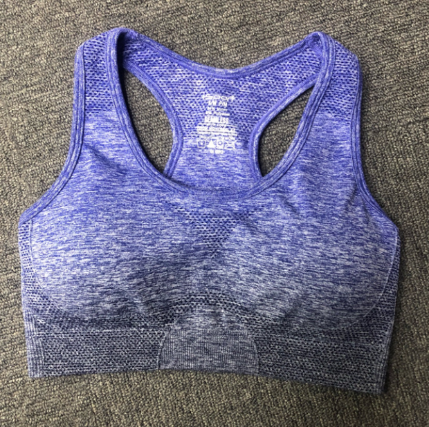 Gradient sports bra