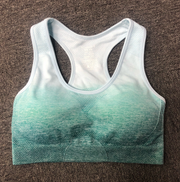 Gradient sports bra