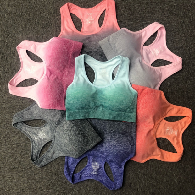 Gradient sports bra